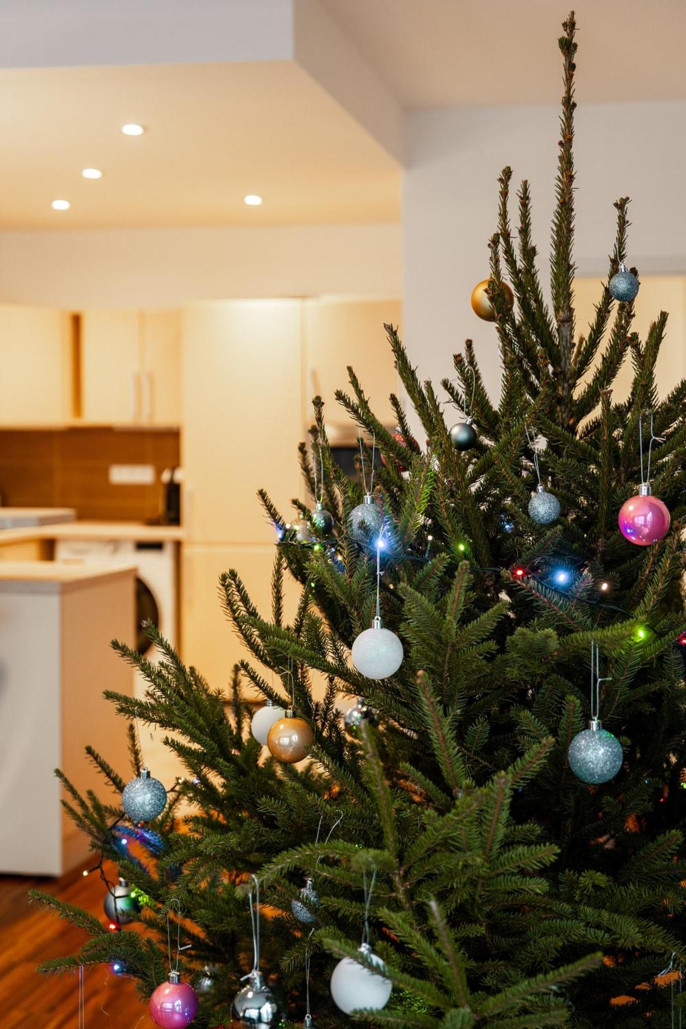 Auriapartments Karlin 2Kk S Terasou A Parkovanim Prag Exteriör bild
